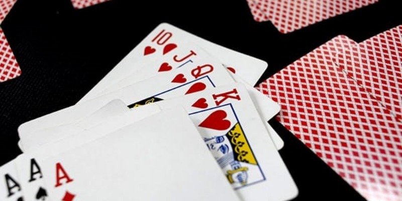 Top 5 Nhà Cung Cấp Live Casino